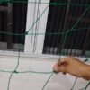 Lưới giàn cây leo chất liệu sợi cước HDPE