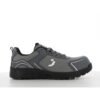 AAK S1P LOW